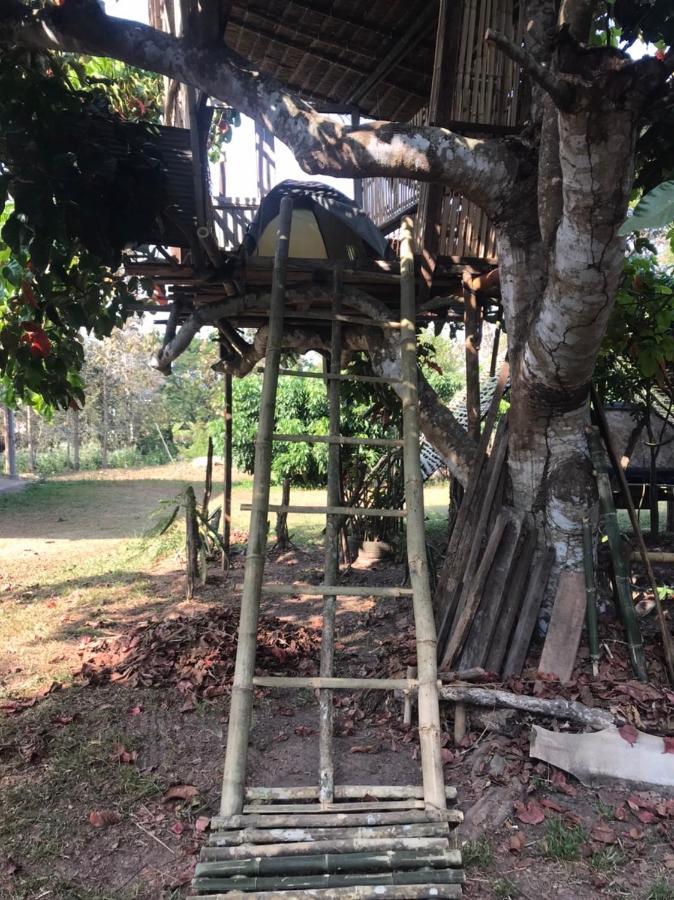 Amando_Tent Hotel Phayao Luaran gambar