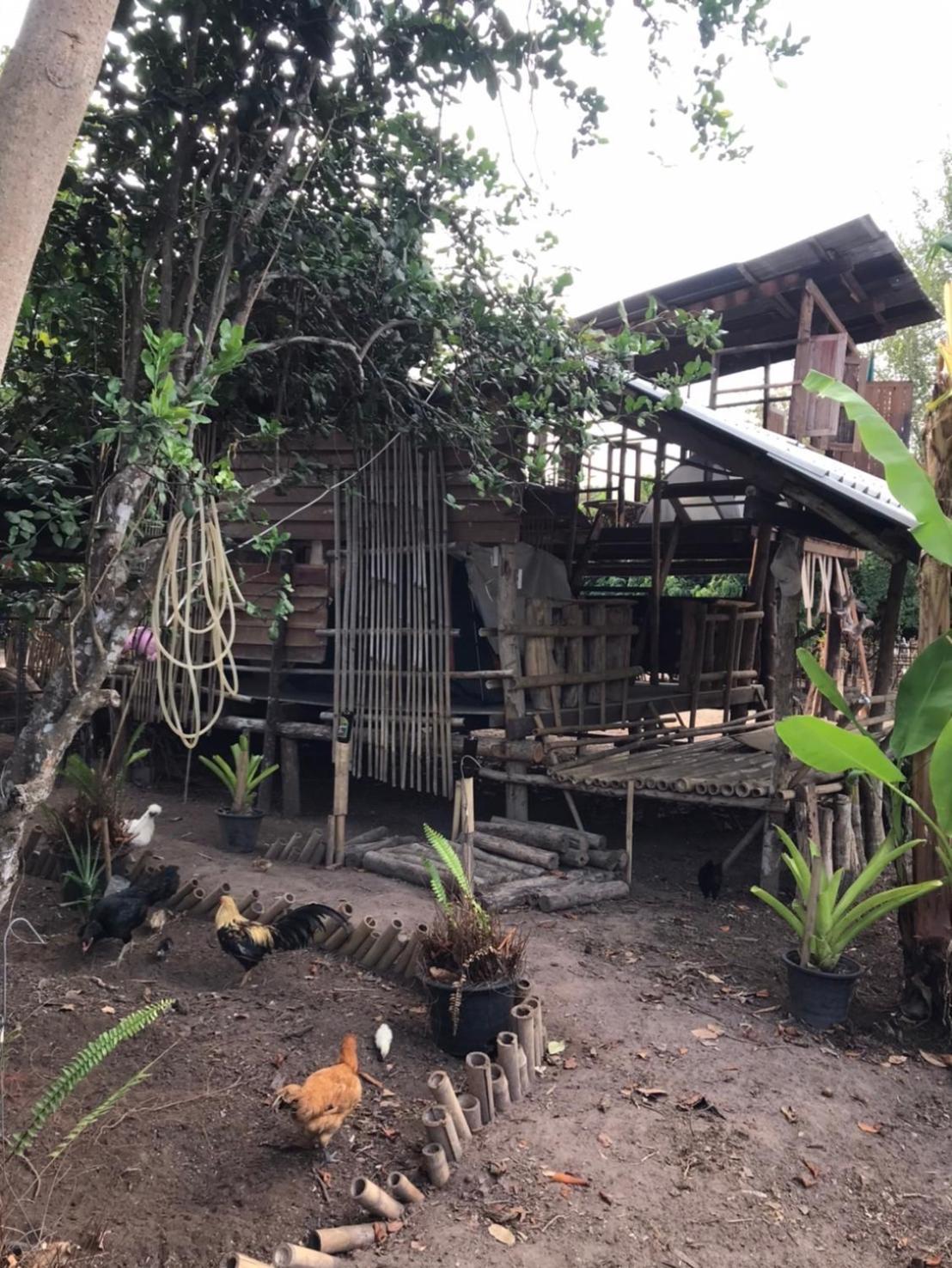 Amando_Tent Hotel Phayao Luaran gambar